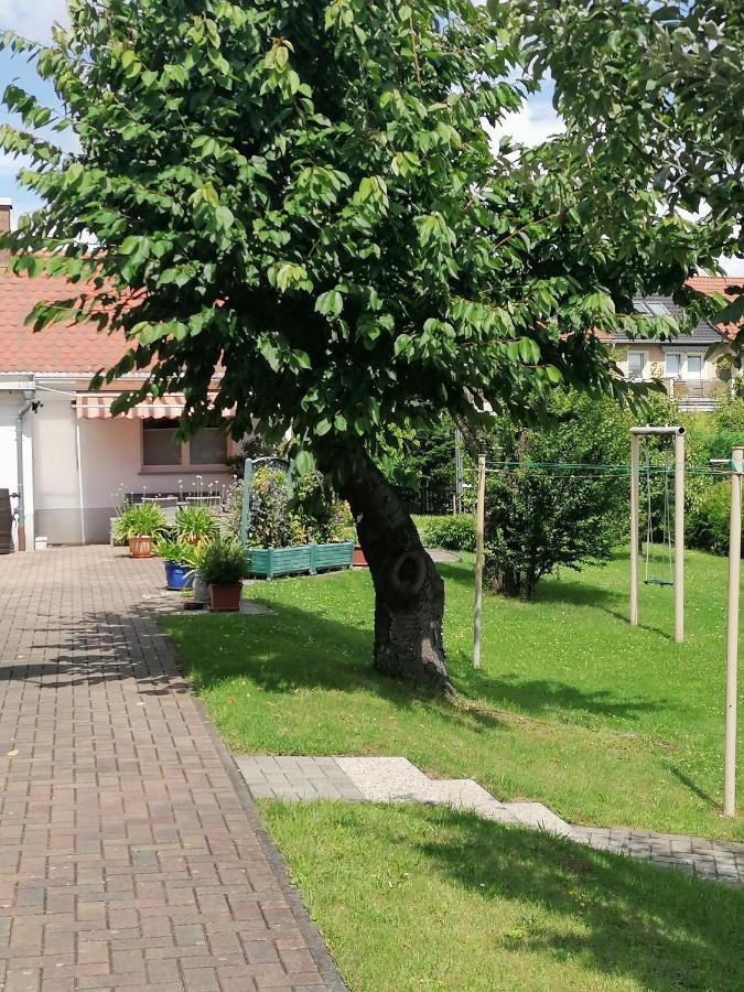 Toepferblick Apartment Olbersdorf Exterior foto